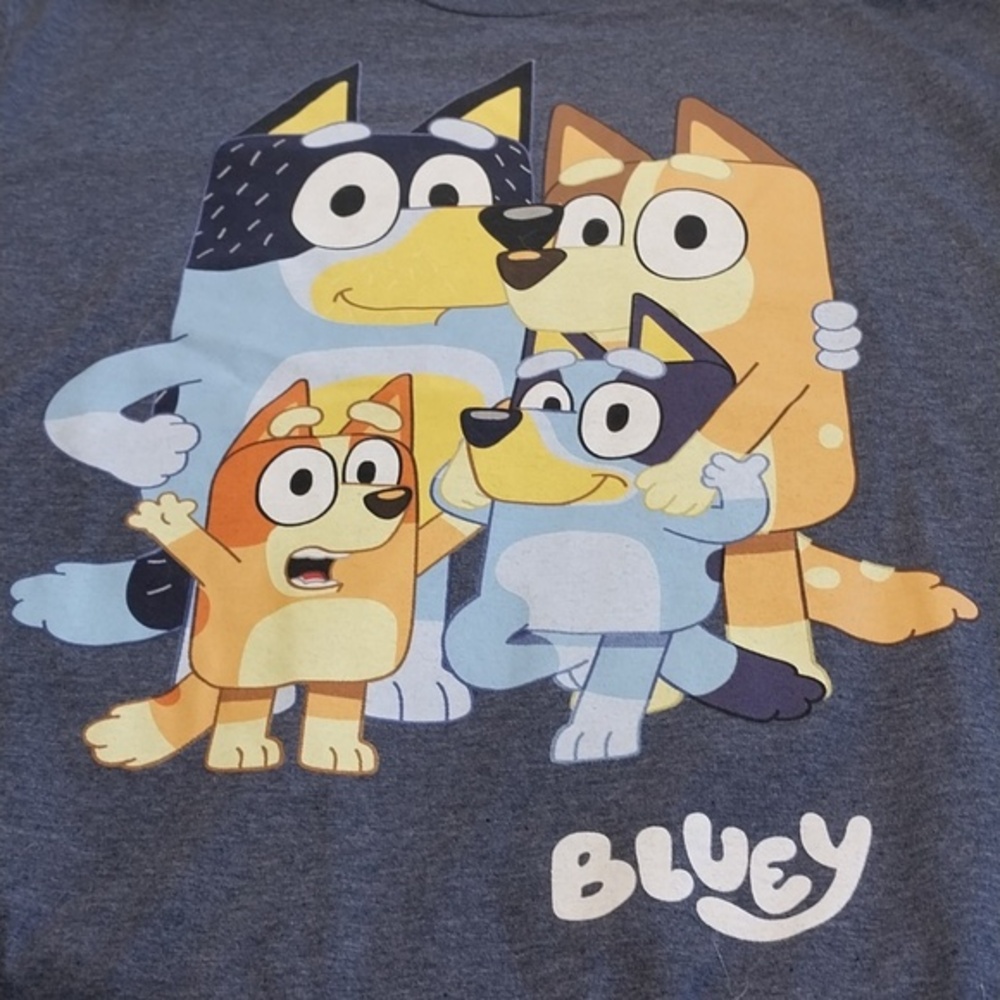 Bluey & Family NWT T-Shirt Men's Size Large Dark Gray Vibrant Graphics Unisex - Picture 1 of 6